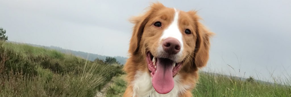 phhhutten's profile banner image
