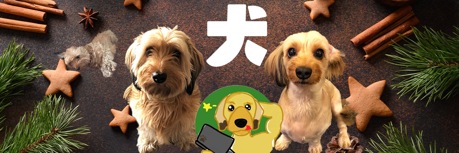 Chin_pei3's profile banner image