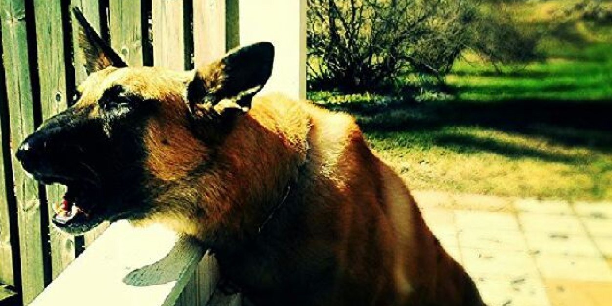 KimmoRoiha's profile banner image