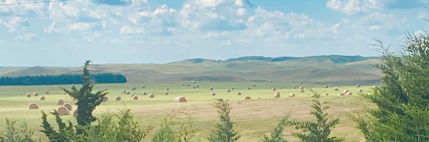 Trever Whiting banner