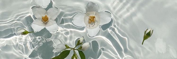 naataliamf's profile banner image