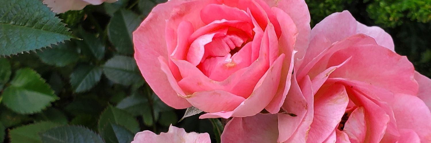 DHmam01092nd's profile banner image