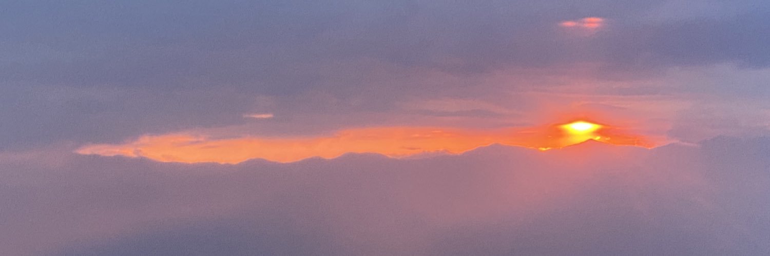 linaarbelaez's profile banner image