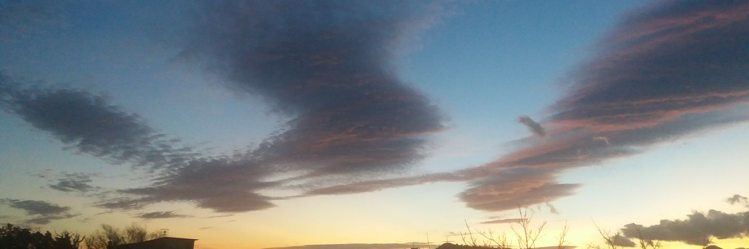 lori cousin💙 banner