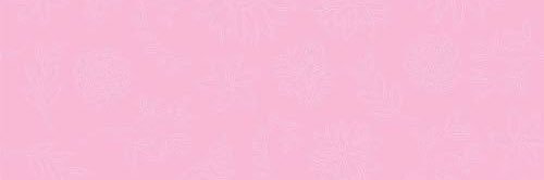 ericadechruz's profile banner image