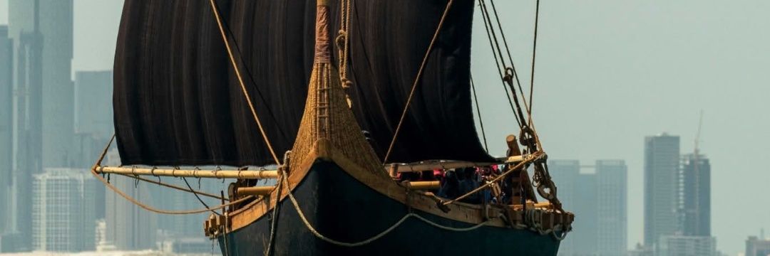 NAORSA banner
