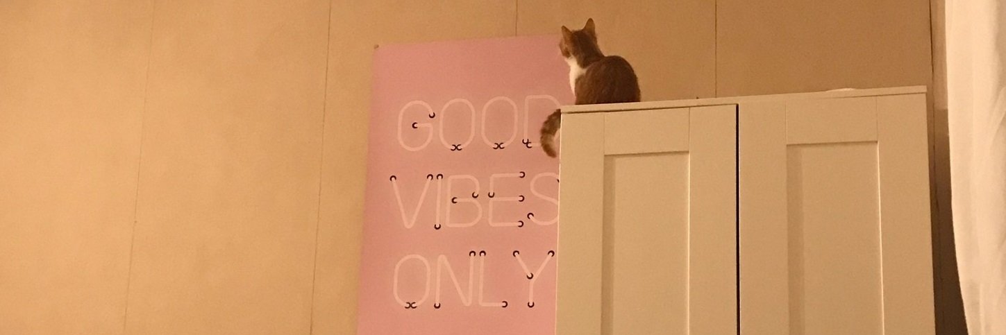 Cᴀᴩᴛᴀɪɴ Lᴀ Dᴏᴄ' banner