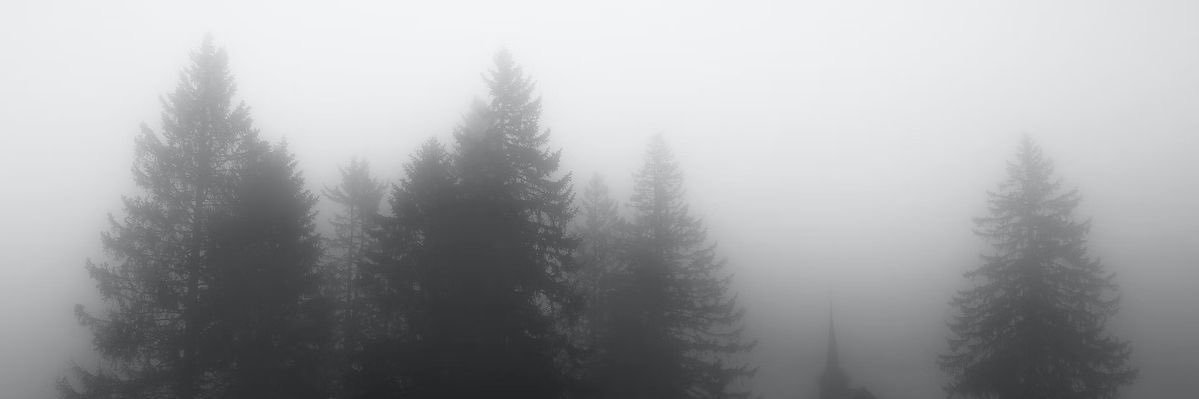 pprmntluvr's profile banner image