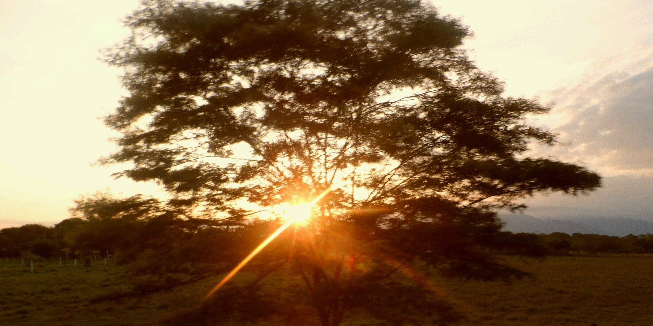 kthe_1728's profile banner image