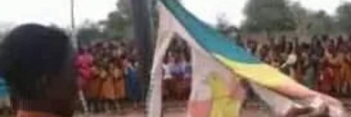 ZimBuilderPat banner