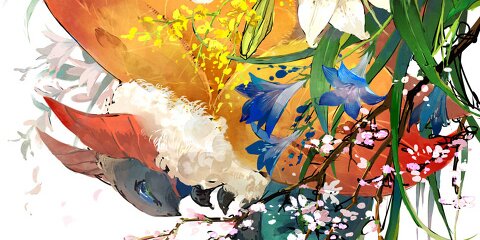 saxifrage24's profile banner image