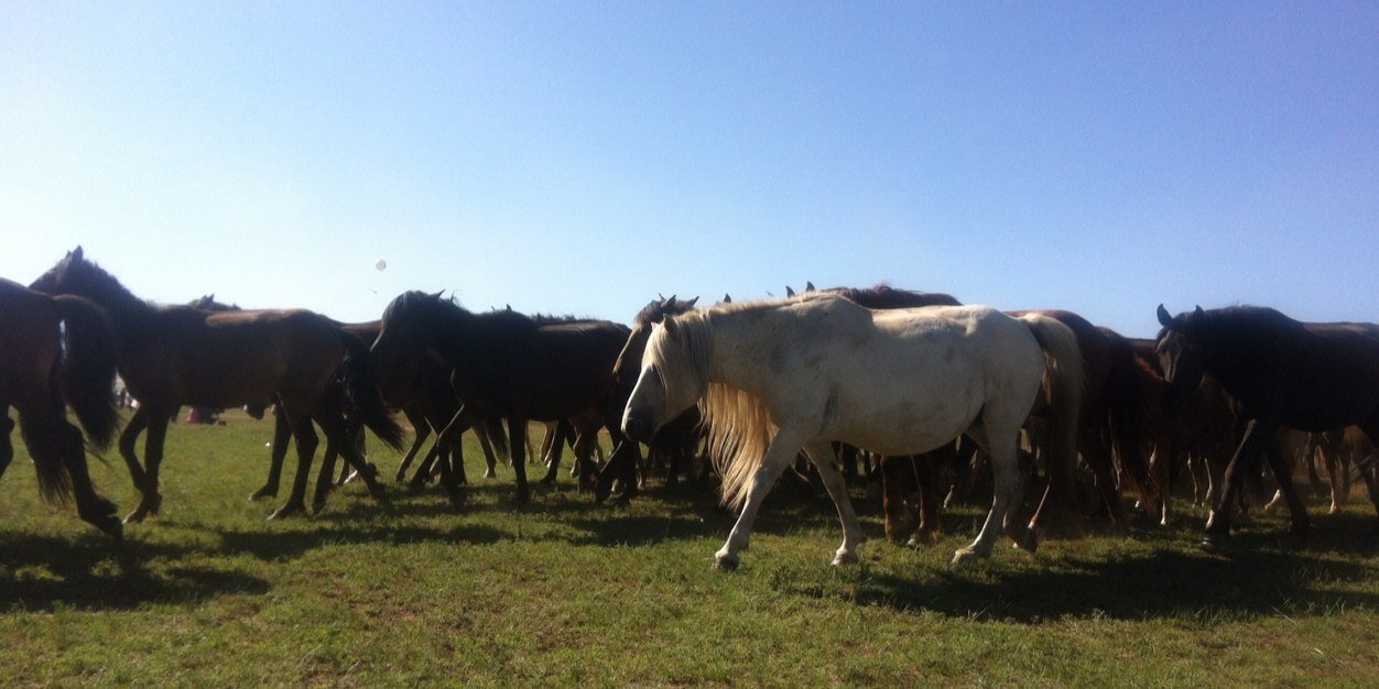 Тамирын голын хүн 🐦 banner