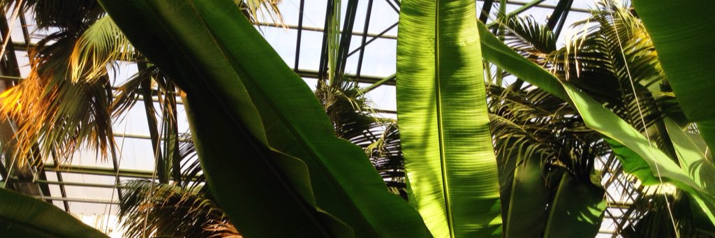 MariVillain's profile banner image