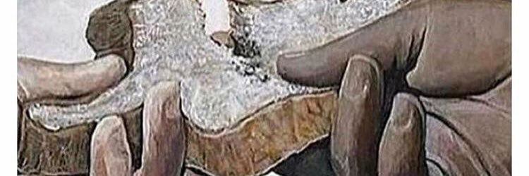 HConno2's profile banner image
