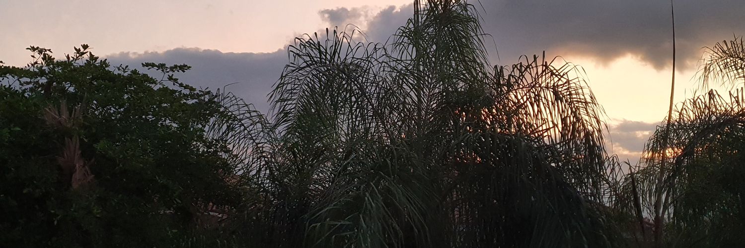 michelleAR2's profile banner image