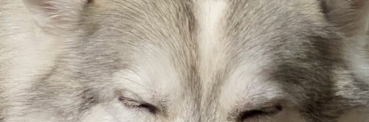 fxxking___world's profile banner image