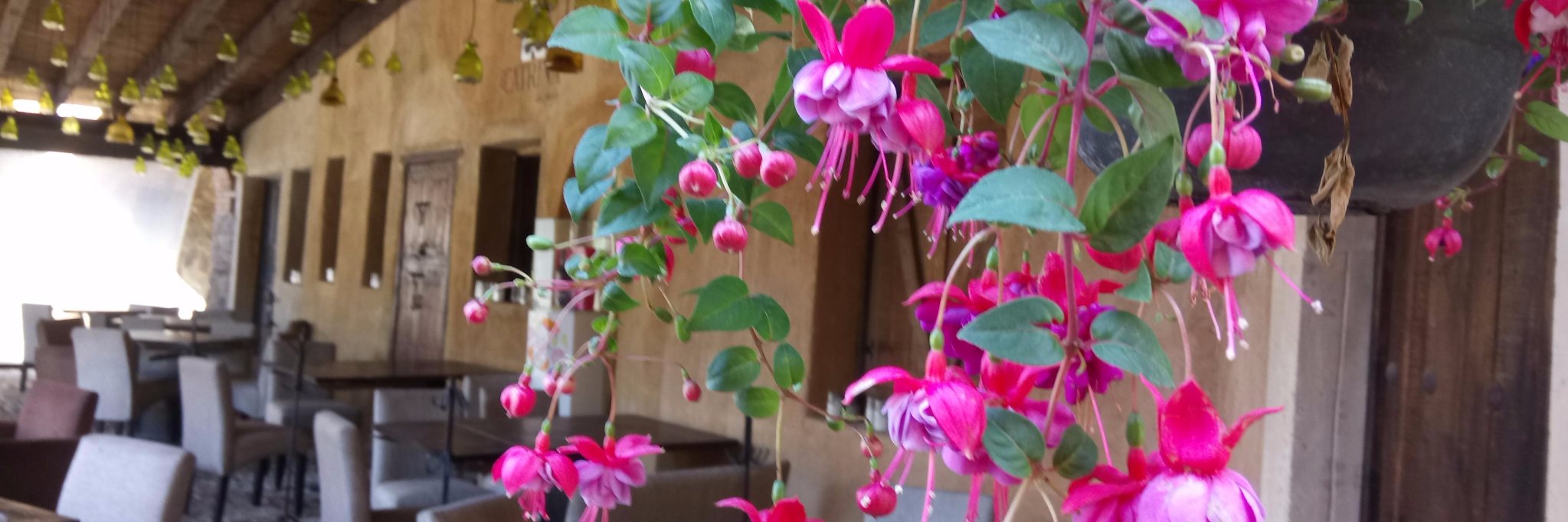 Gabriela Garcia banner