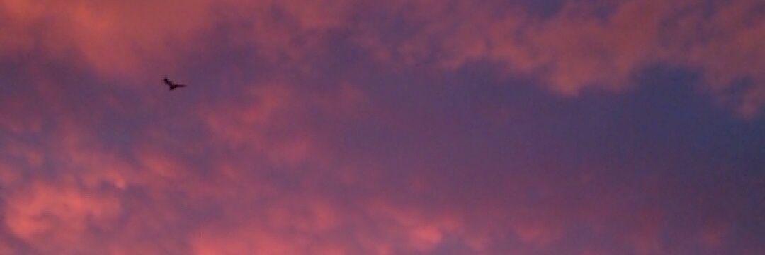 MelissaFitz28's profile banner image