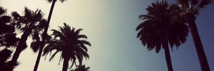denise_dangelo's profile banner image