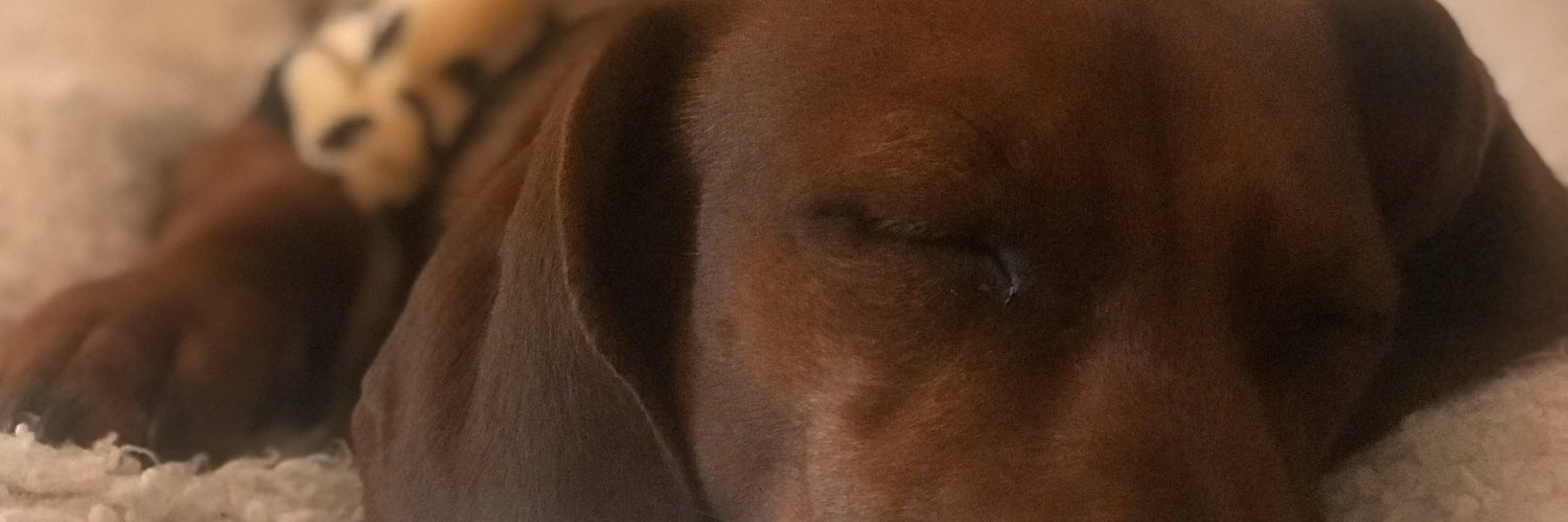 Candace C banner