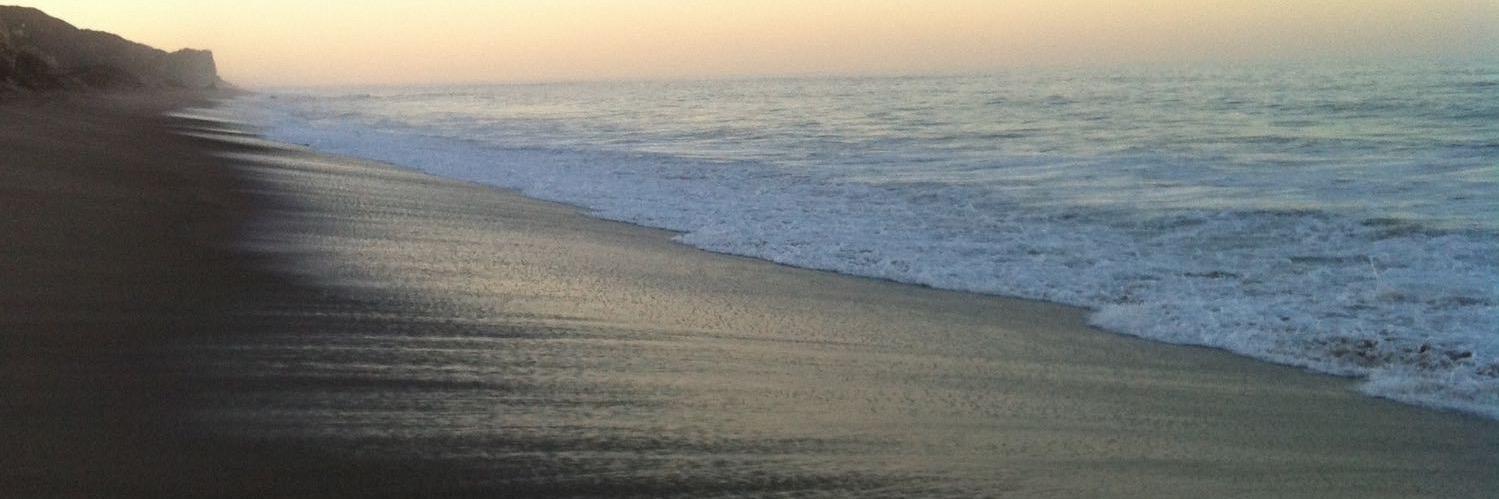 debbie_steg's profile banner image