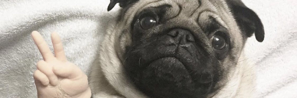 VeeCeee's profile banner image