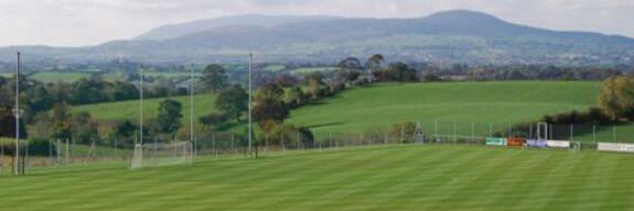 Daniel McCarthy banner