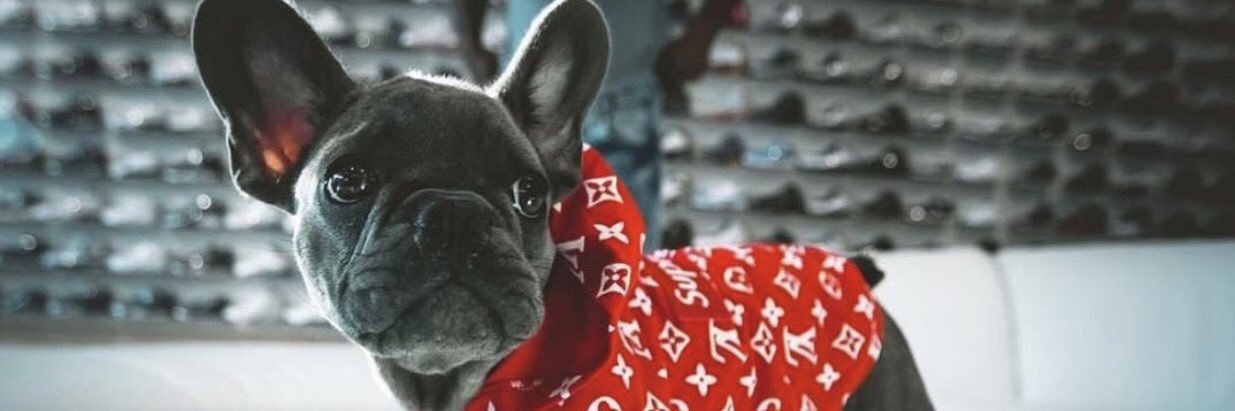HOOPERDAD's profile banner image