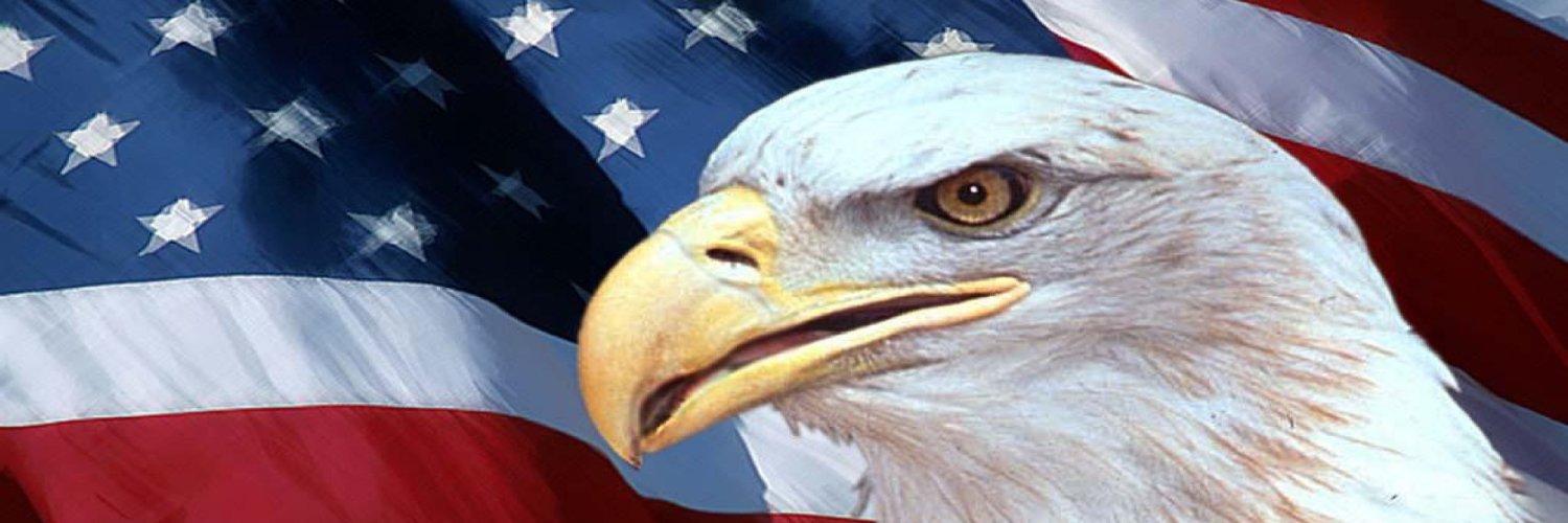 nbrisk's profile banner image