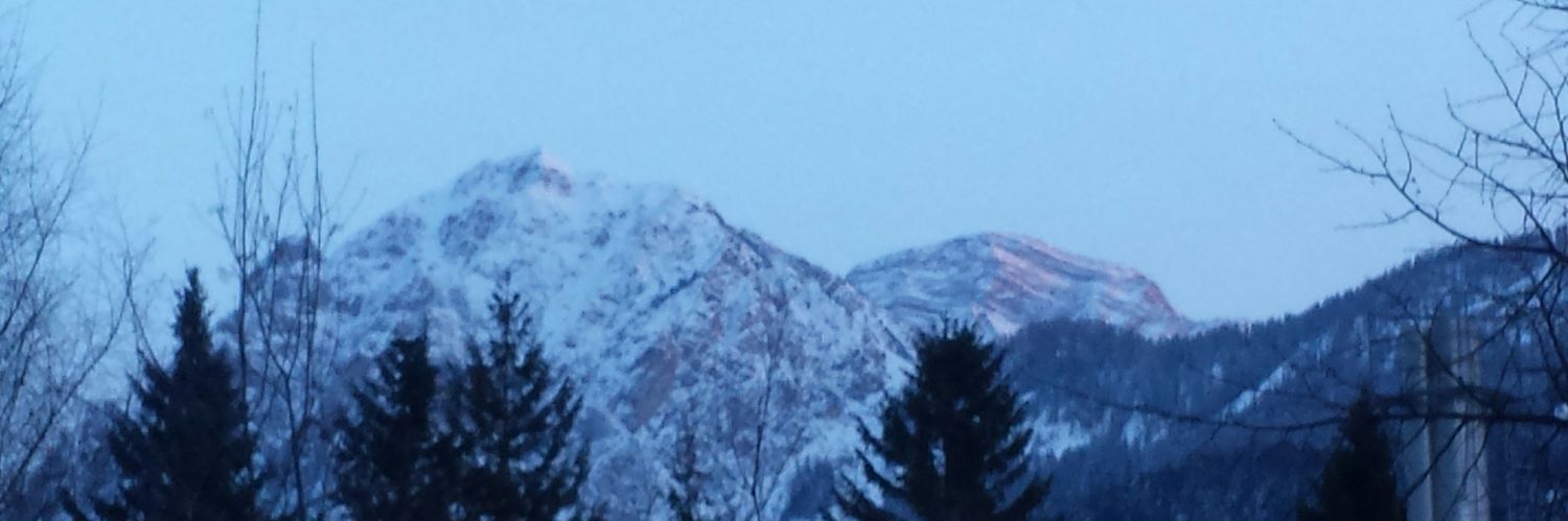 Turciale's profile banner image