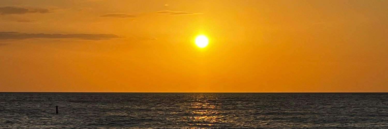 Lisa Matthews banner