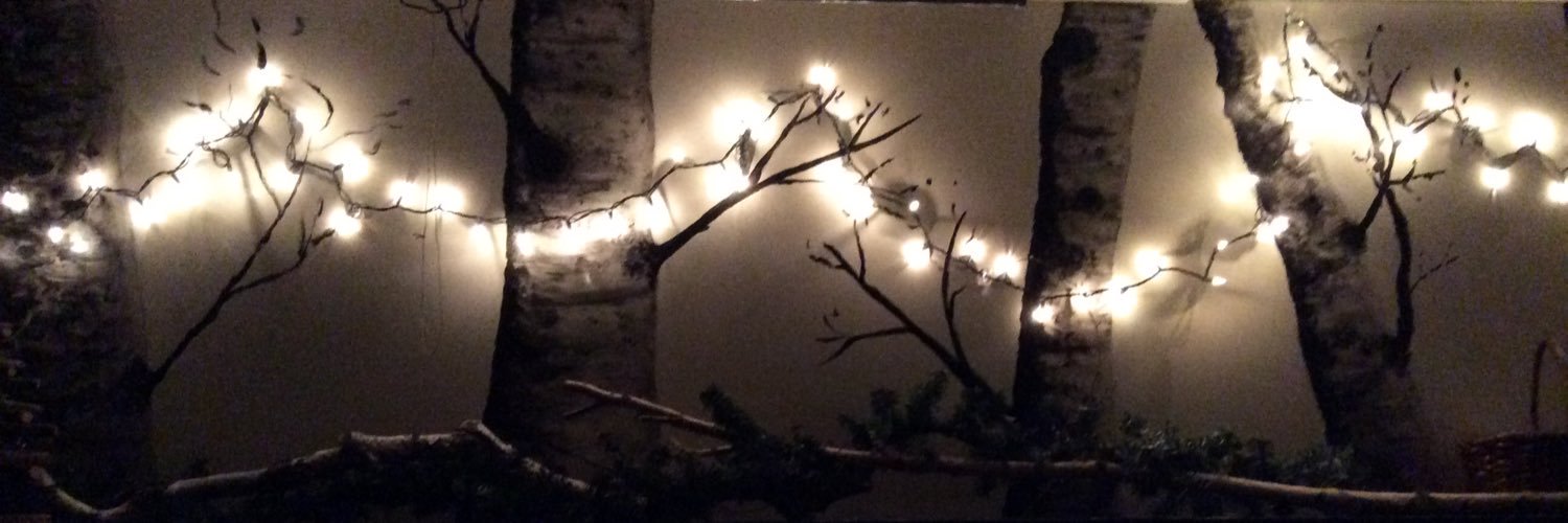 BookBasky's profile banner image