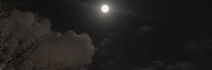 juwijooo's profile banner image