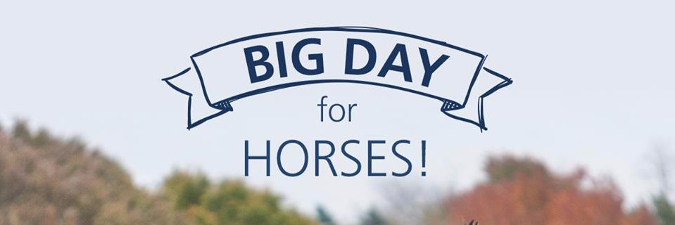 Mr. Being Shown Such Sights banner