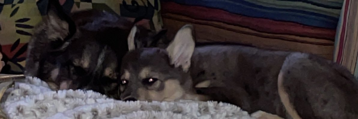 fknbeans's profile banner image