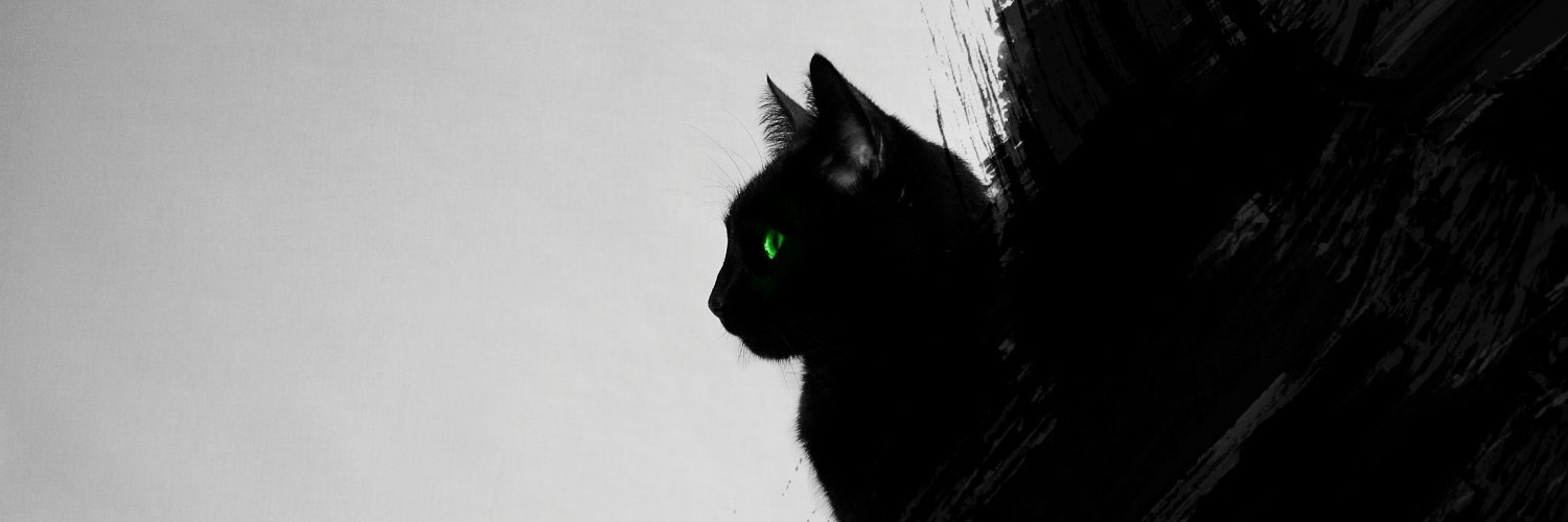 oforopo's profile banner image