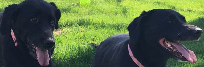 ek_bonddd's profile banner image