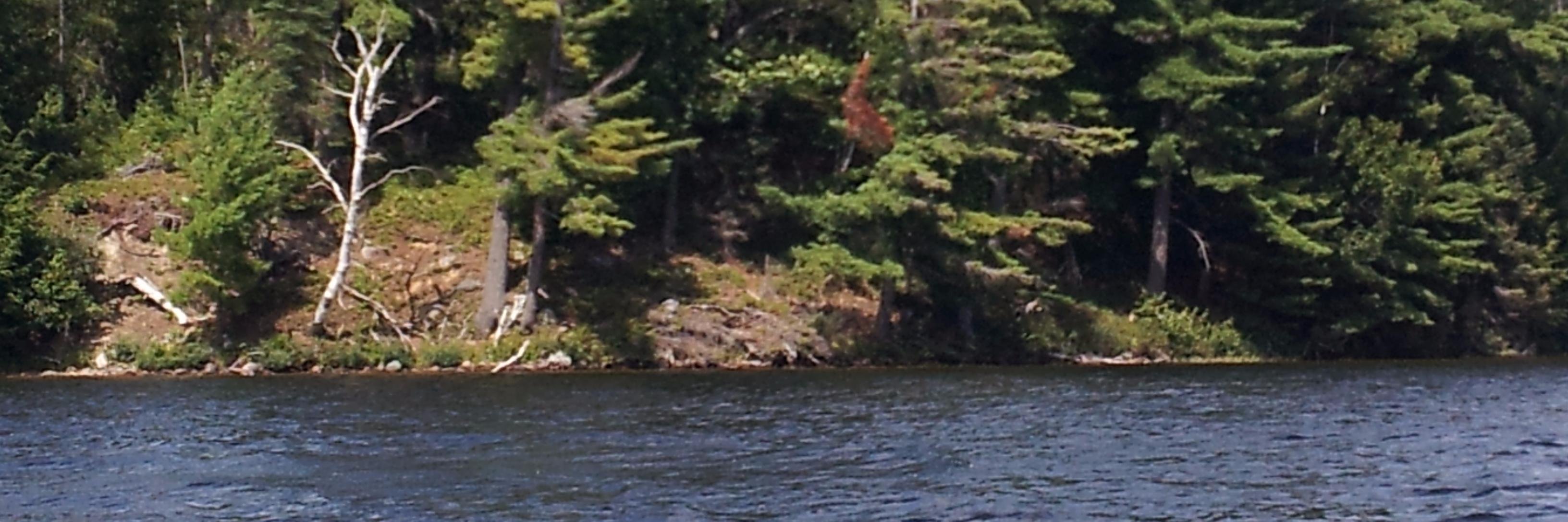 MyLifeDraft2's profile banner image