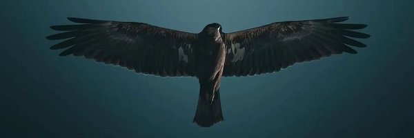 swemyada Profile Banner