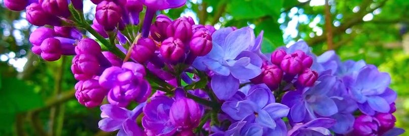 cmbj67's profile banner image
