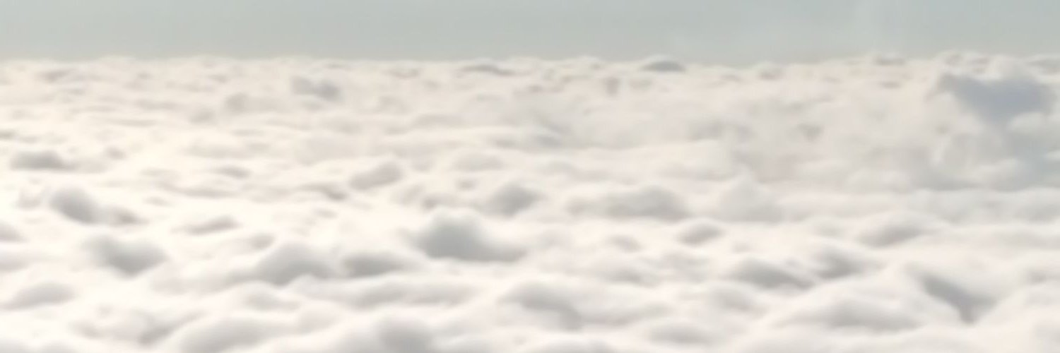 alliever94's profile banner image