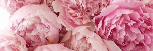 xcheyenneb's profile banner image