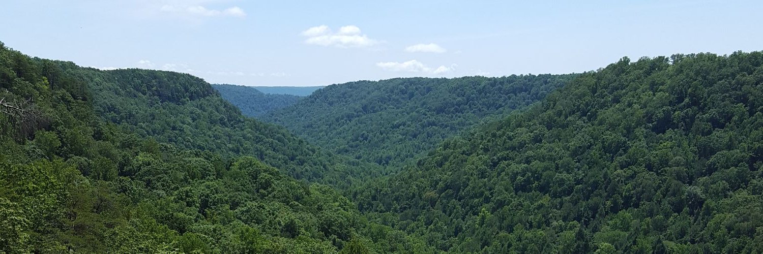 natureb0ys's profile banner image