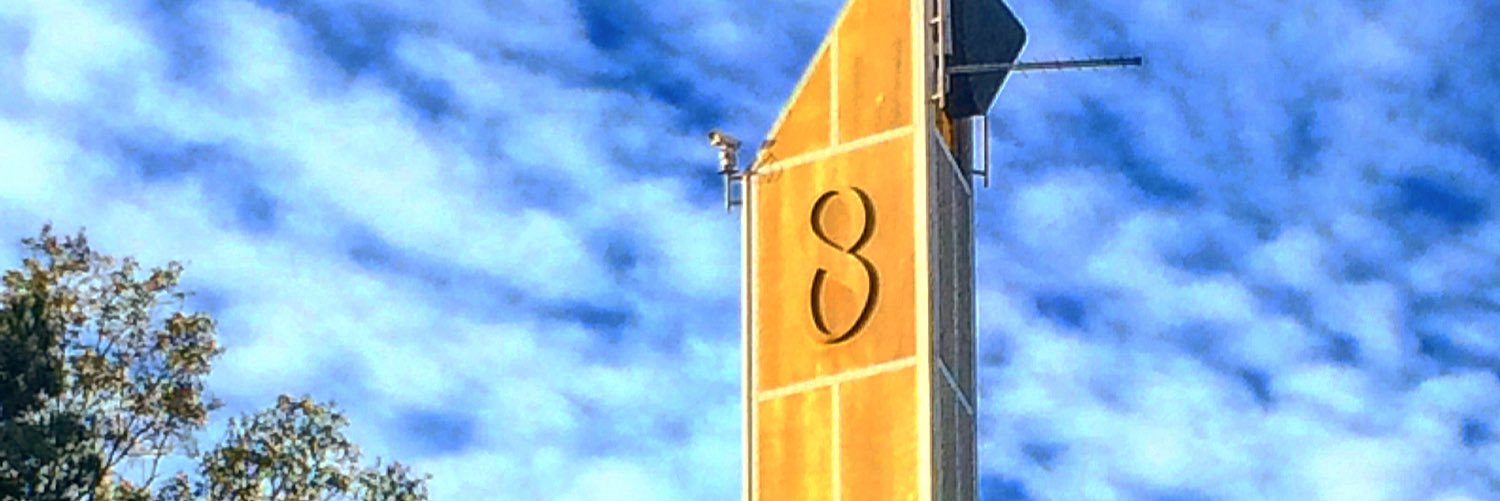 Elizabeth (Beth) Taylor banner