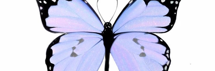 VickyyGuirin's profile banner image