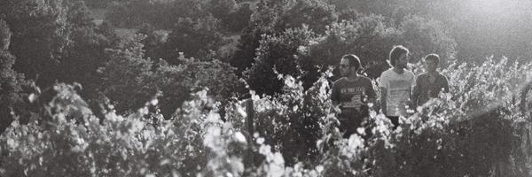 quentin_clement Profile Banner