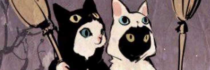 chasingcarr's profile banner image