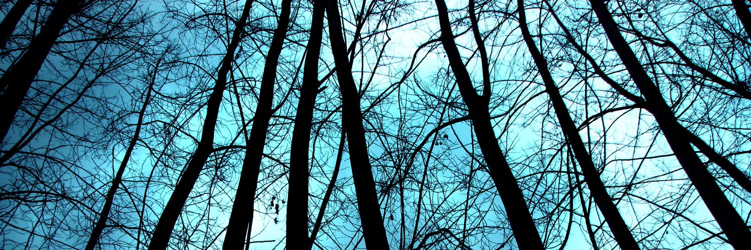Oregano_'s profile banner image