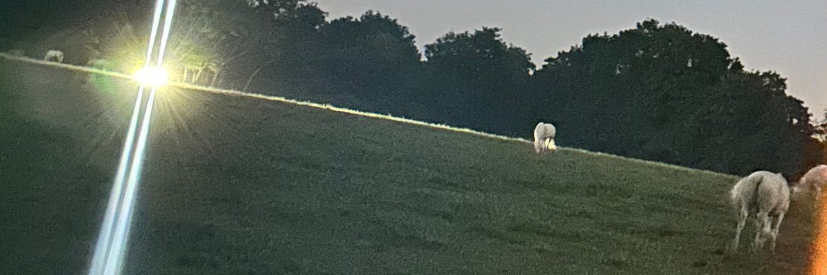 salimwrld's profile banner image