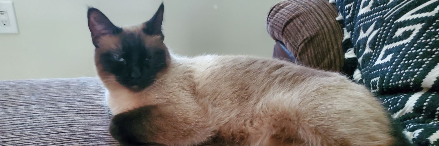 HiImJoeBeets's profile banner image